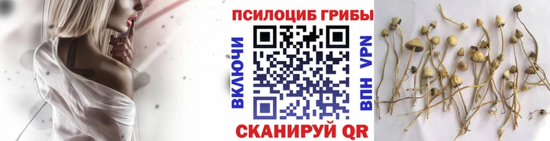 Галлюциногенные грибы GOLDEN TEACHER  Купить где  Лениногорск 